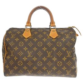 Louis Vuitton Speedy Monogram Canvas 30