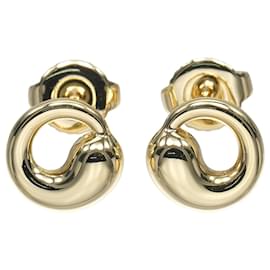 Orecchini Tiffany & Co. Eternal Circle