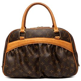 Louis Vuitton Marrone Monogram Mizi