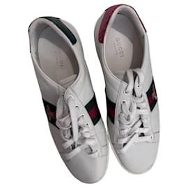 Gucci Ace Sneakers in Pelle Bianca con Ape