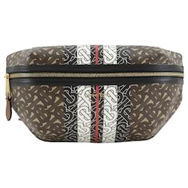 Borsa a tracolla Burberry Brown Monogram Stripe E-Canvas