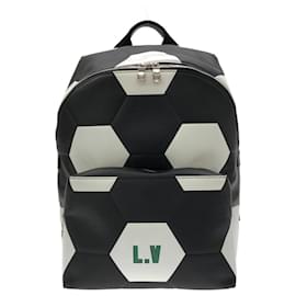 Louis Vuitton Epi Apollo Rucksack