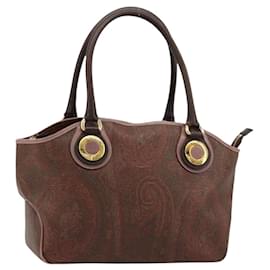ETRO Hand Bag PVC Leather Brown Gold Auth 183273A