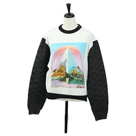 LOUIS VUITTON Sweatshirt mit Rundhalsausschnitt Baumwolle XS Weiß LV Auth 182327SM