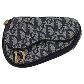 Cartera azul - Dior