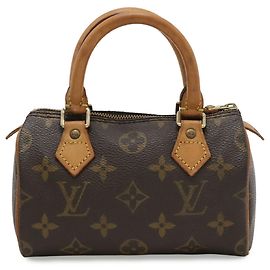 Louis Vuitton Monogram Mini Speedy Handbag Pouch