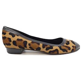 Harako Ballerinas FOXEY - Autre Marque
