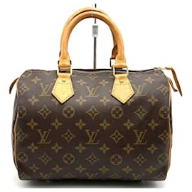 Louis Vuitton M41528 Speedy 25 Boston Bag