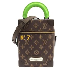 Borsa Louis Vuitton Monogram Vertical Box Trunk