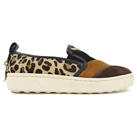 Sneakers COACH
