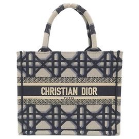 Borsa Christian Dior Book Tote Small