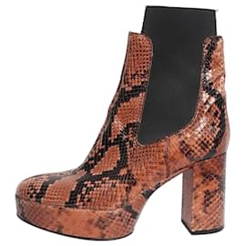 Stivaletti con platform in pelle di serpente marrone - taglia EU 38 - Acne