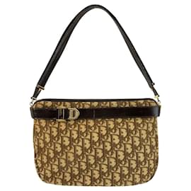 Borsa a tracolla Dior Trotter in tela e pelle