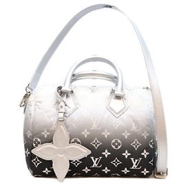 Bolso de hombro Louis Vuitton Silver LV Snow Speedy Bandoulière 25