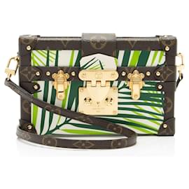 Borsa Palm Petite Malle in Tela Monogram Louis Vuitton
