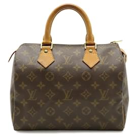Borsa a mano Louis Vuitton Monogram