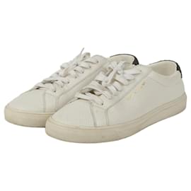 Sneakers Sequence Tab - Saint Laurent