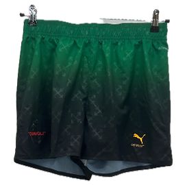 Puma Shorts grün und schwarz