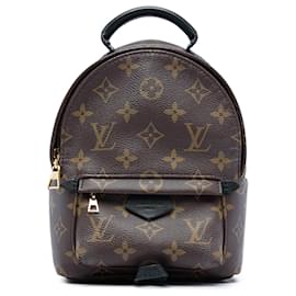 Louis Vuitton Marrón Monogram Mini Palm Springs