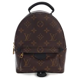 Louis Vuitton Braun Monogram Mini Palm Springs
