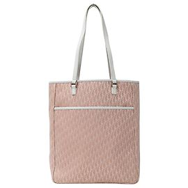 Borsa Christian Dior Trotter Canvas