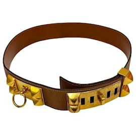 Hermes Collier de Chien Gürtel Breit aus Leder - Hermès
