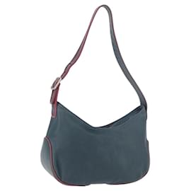 Borsa a Spalla LOEWE in Pelle Verde Argento Auth 187866A