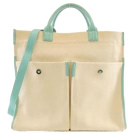 Borsa Tiffany in Beige e Blu Tiffany - Tiffany & Co