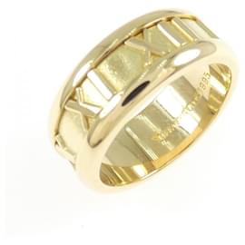 Tiffany & Co Tiffany Atlas Ring