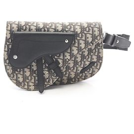 Borsa Saddle Christian Dior