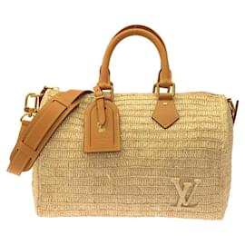 Borsa Boston Louis Vuitton Speedy Bandoulière