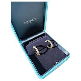 Orecchini Tiffany & Co. Ti Fine Bamboo Circular Joint Oro Giallo