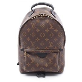 Louis Vuitton Palm Springs PM Monogram Rucksack