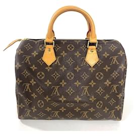 Borsa Louis Vuitton Speedy 30