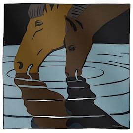 Sciarpa Waterfoal - Hermès