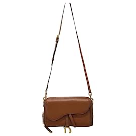 Dior Borsa a tracolla Double Saddle Pouch