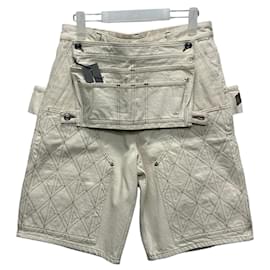 Dior Denim Tears Carpenter Bermuda Hose