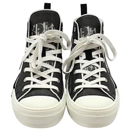 Dior Sneakers alte Oblique