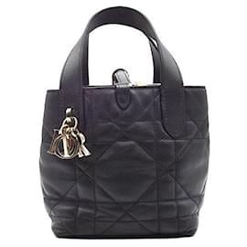 Christian Dior Trousseau Vertical Nano