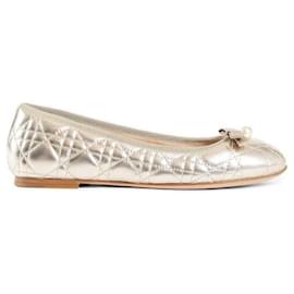 Dior Ballerine metallizzate