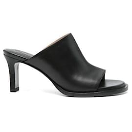 Tod's Mule