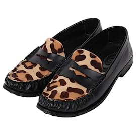 Scarpe basse Leopard Black da donna - Tod's