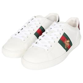Gucci Sneakers Ace