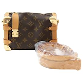 Louis Vuitton Borsa a tracolla Side Trunk PM Monogram