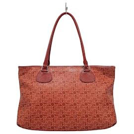 Céline Borsa a tracolla Shogo
