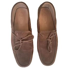 Mocassini Tod's in scamosciato marrone