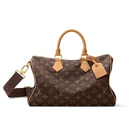 Louis Vuitton Speedy 30 Bandoulière Monogram Silk Tech
