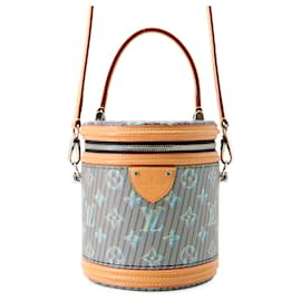 Louis Vuitton Monogram LV Pop Cannes Handbag