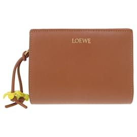 Cartera Compacta Loewe Daisy Knot