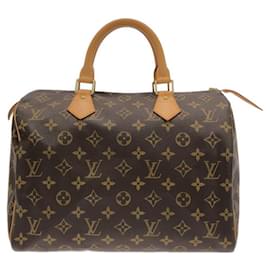 Louis Vuitton Boston Bag
